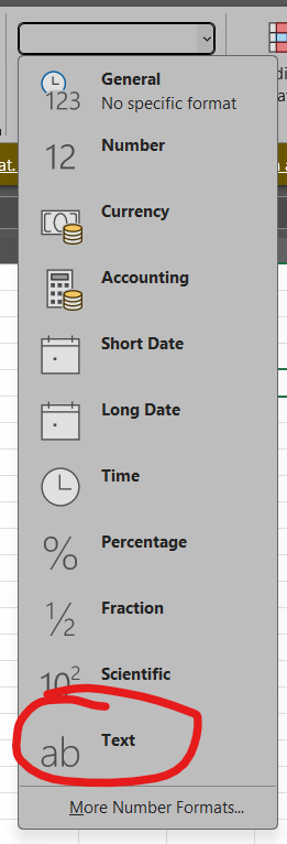 Screenshot of the dropdown you get to see when you clicked on the dropdown and "Text" is circled red to indicate to click it.